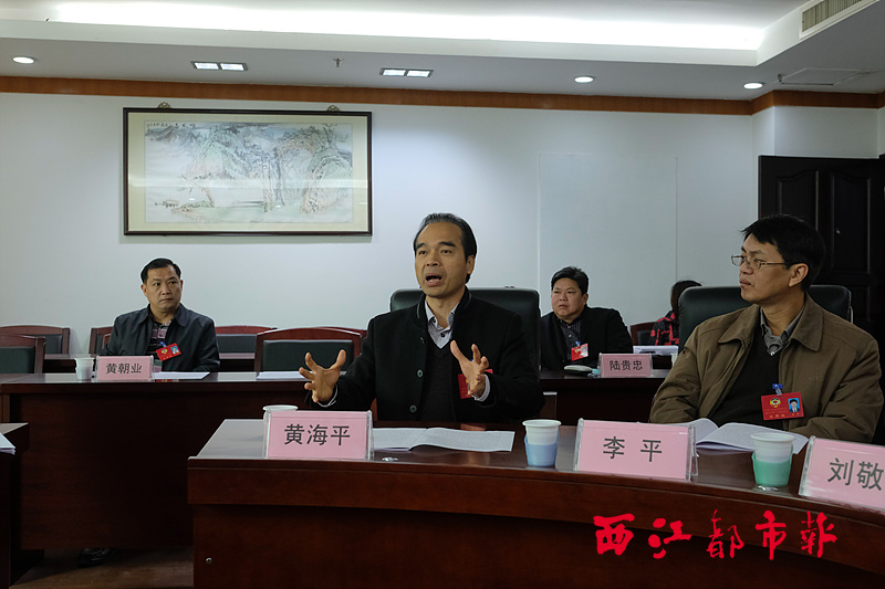 市政協委員熱議完善青年創業體系建設話題