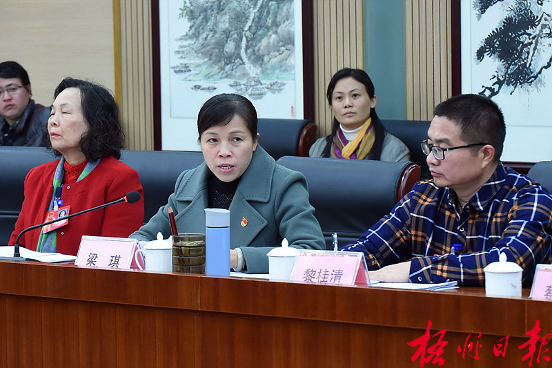 市十四屆人大三次會議各代表團繼續審議多項報告