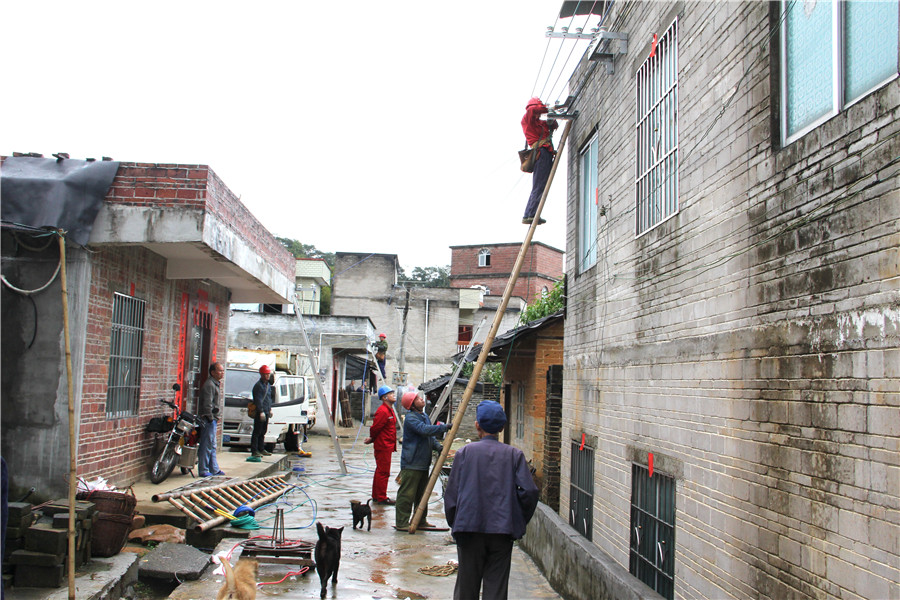 電網升級改造惠茶農