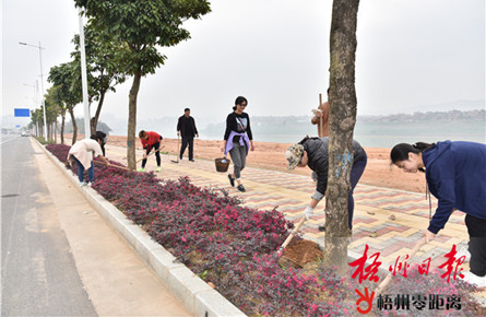 撫育新栽六旺樹(shù)