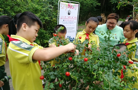 組織科普活動 　提高保護(hù)意識