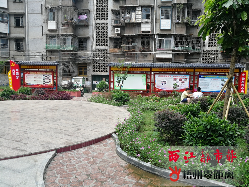 萬秀區今年推進18條“美麗小巷”建設