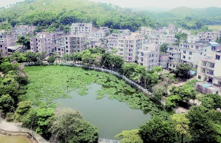 既要環境好也要產業旺