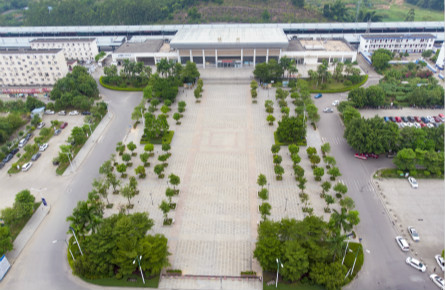 廣場文化生活豐富 不文明現象仍存在