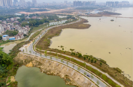 濕地公園生態環境優良