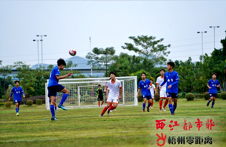 區運會競技項目梧州代表團斬獲28枚金牌