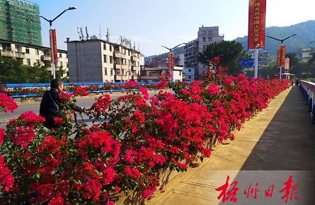 初冬時節寶巾美