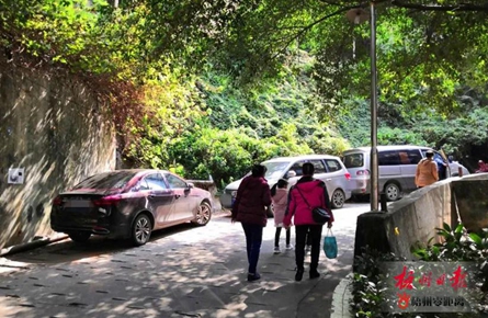 車輛亂?，F象死灰復燃