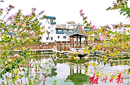 花團錦簇鄉村美