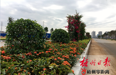 改造提升園區道路