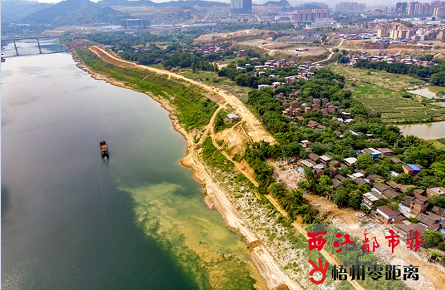 防洪堤項目完成征拆