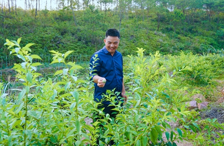 老板返鄉當“農夫”