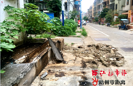 污水橫流“痼疾”難根治