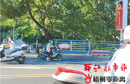 三城區內兩輪車逆行情況較為普遍