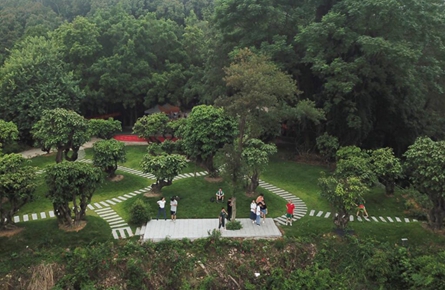 景區提質持續推進