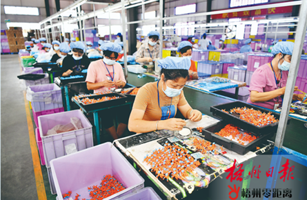 玩具廠助貧困戶就業