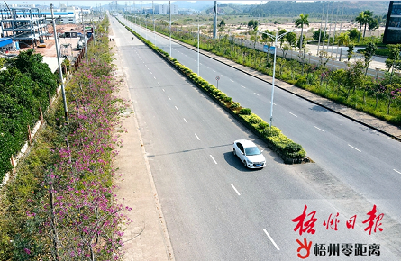 園區綠化彩化成效顯現