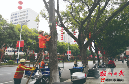 樹木掛上營養液