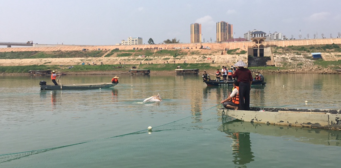 救助工作現(xiàn)場