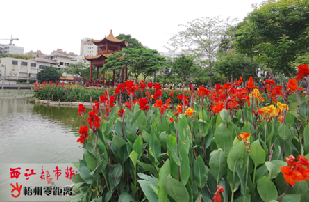 潘塘公園 美景如畫(huà)