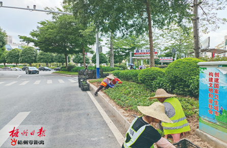 打造良好綠化環境