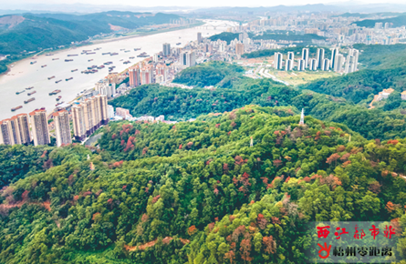 連綿秋雨潤澤草木