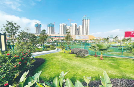 高旺片區展新姿