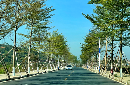 改善蒼海新區交通環境