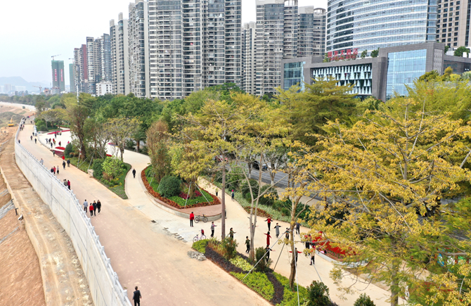 西堤公園加快推進提升改造工程施工