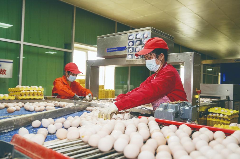 大力發展現代農業