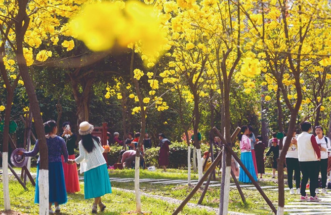 踏春賞花正當時