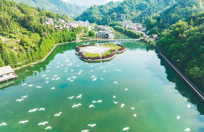 蒙山縣生態環境建設成效顯著