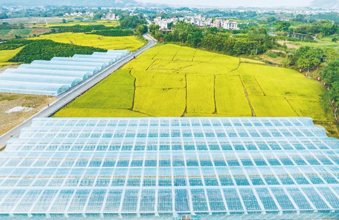 整合土地資源 助力鄉村振興