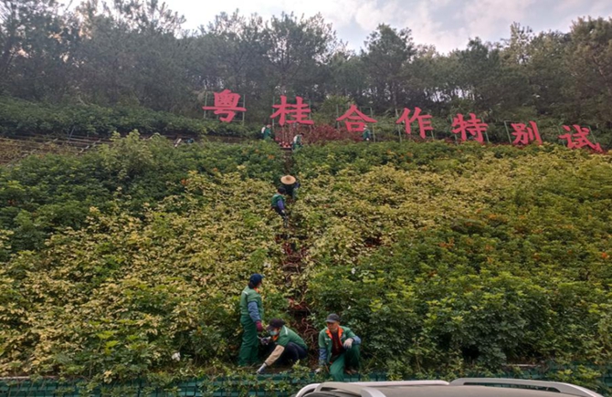 春到植綠正當(dāng)時(shí)