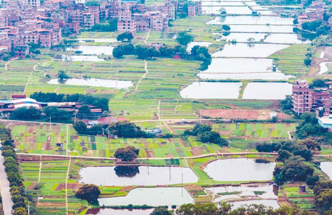 長洲島上 的 “調色盤”