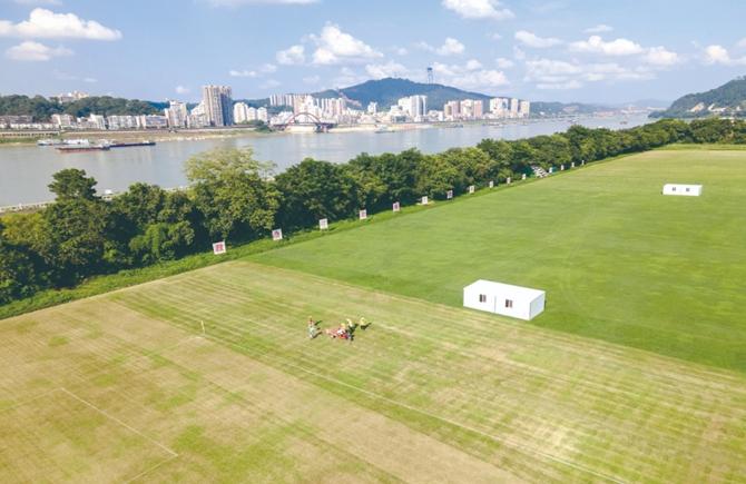 養護草坪提升配套