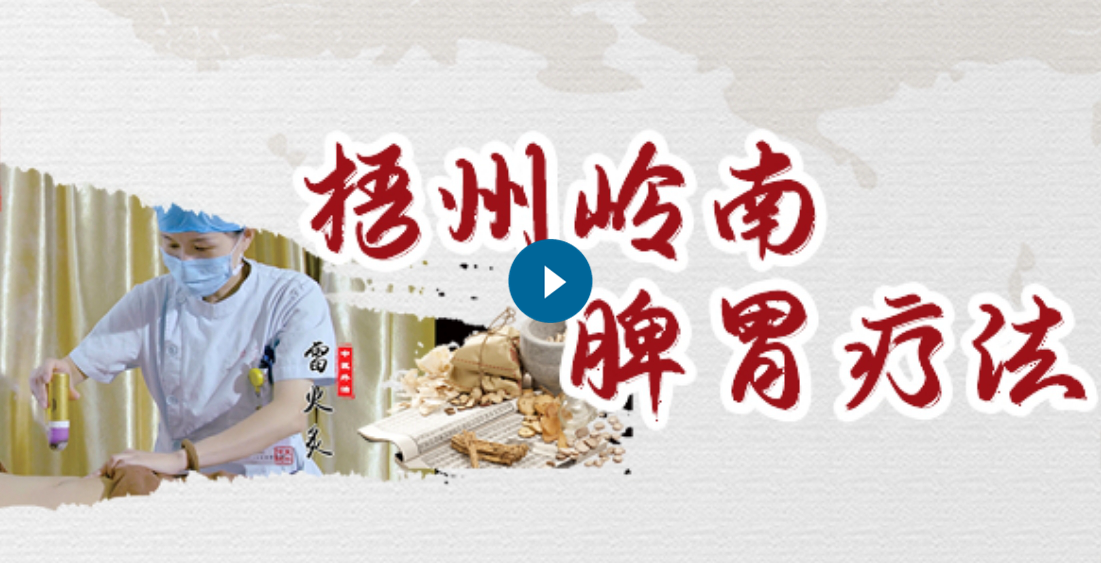 藥膳調脾胃 療法護安康