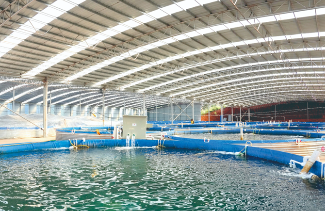 發展陸基“圓桶”水產養殖