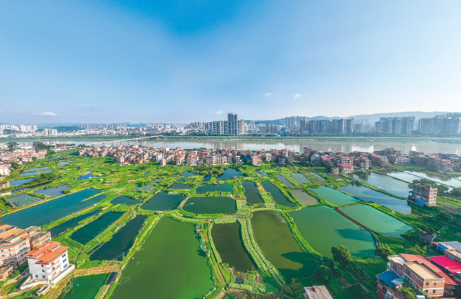 城鄉(xiāng)新畫卷