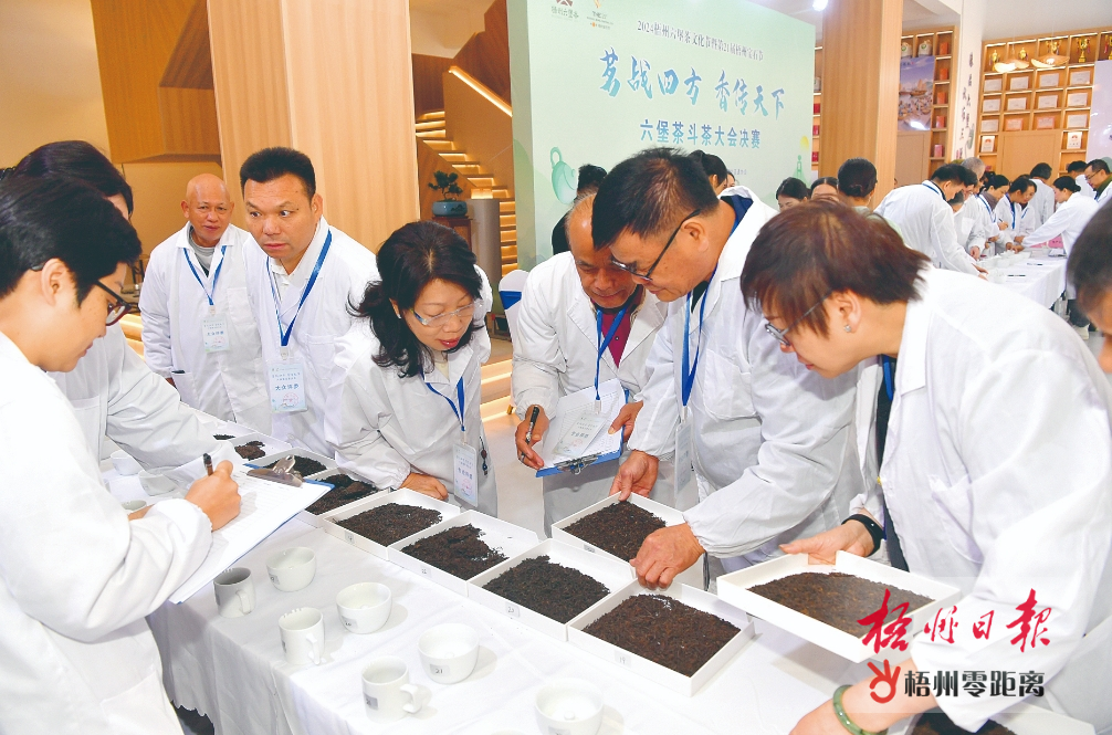 “茗戰(zhàn)四方 香傳天下”六堡茶斗茶大會舉行決賽