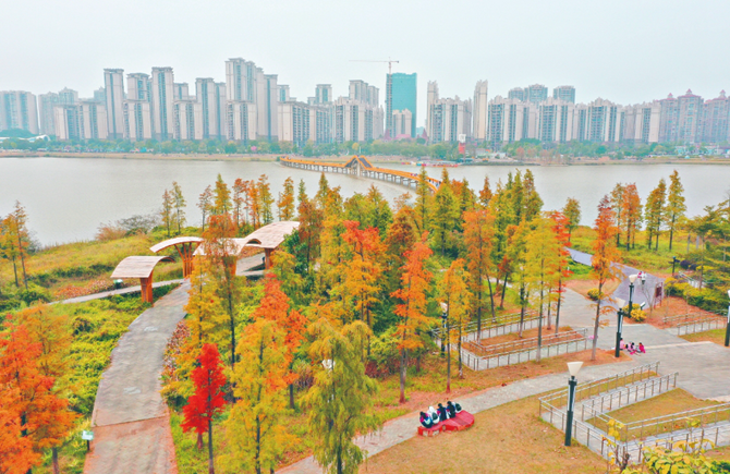 冬日蒼海別樣美