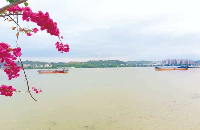 發揮沿江優勢 促進經濟發展