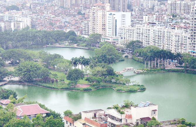 雨中公園 滿眼翠綠