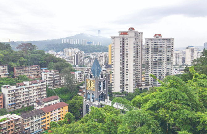 雨后綠植愈發蔥蘢