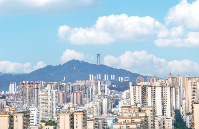 “梧州藍”成常態