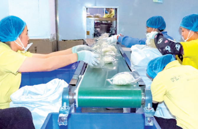 自動(dòng)化生產(chǎn)干河粉