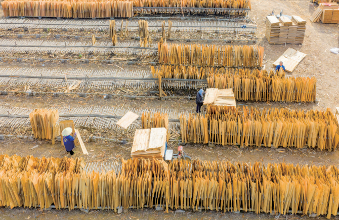 冬日晴方好 板材晾曬忙