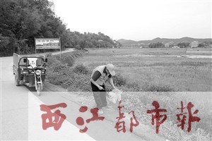3月21日，保潔員岑伯均在夏郢鎮答涓村主要干道上清理垃圾，身旁就是新配備的電動三輪保潔車。龍天傳/攝 