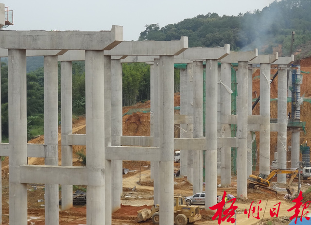 10月9日，在梧柳高速公路倒水互通施工現場，施工單位正加快推進互通主線一號橋及互通C匝道、D匝道的樁柱（基）混凝土的澆筑作業。　　　　　　　　　黃東榮 攝