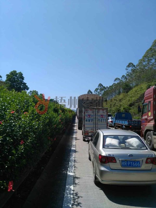 事故引起高速路上堵車。 網友“老-男-孩”提供